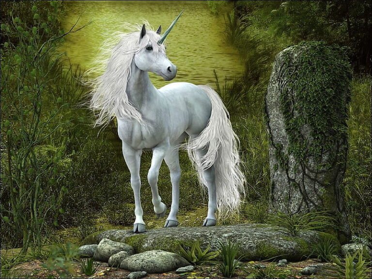 unicorndelight88